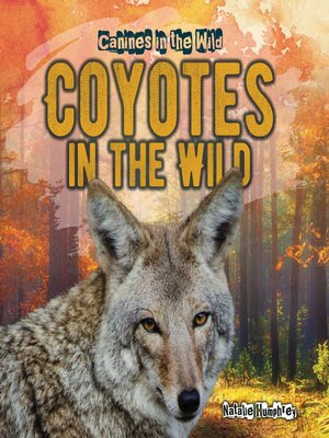 cover image of Coyotes in the Wild